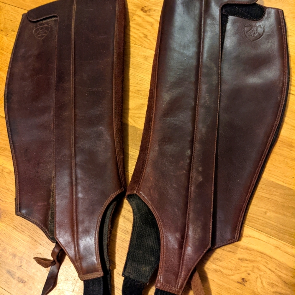 Ariat Half Chaps L
